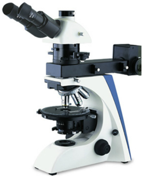 Microscope Polarizing